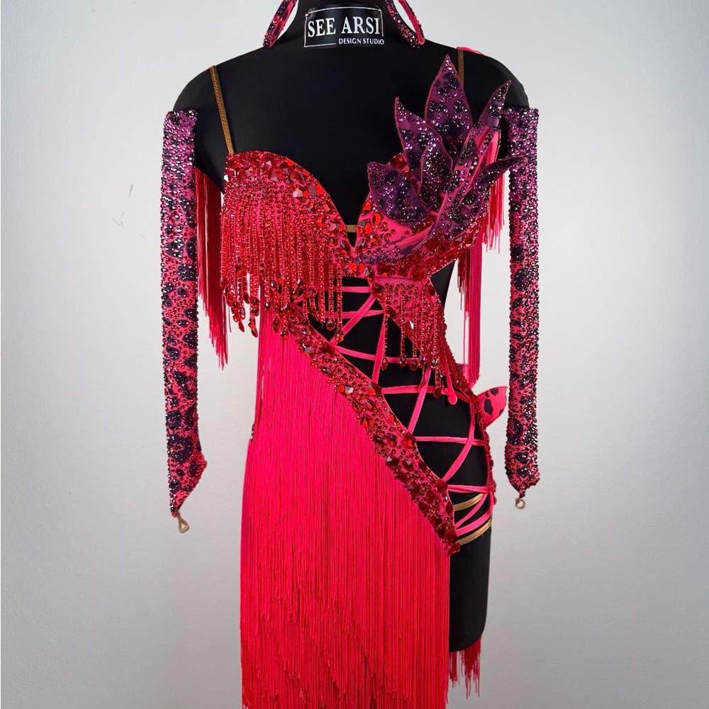 Latin Ballroom Dress